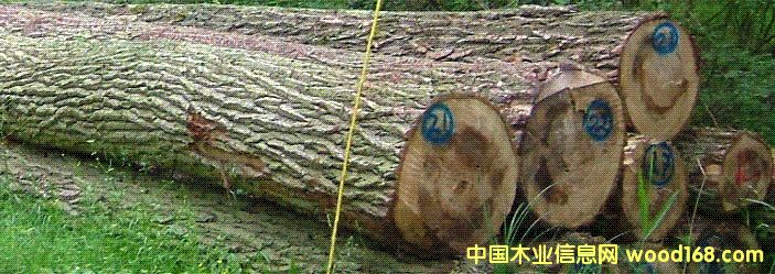 ��ľԭľ��Ԕ��(x��)��B