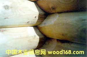 �Aľ�ݽY����Ԕ����B