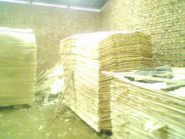 ��ľ���N��(j��)�eƤ��Ԕ��(x��)��B