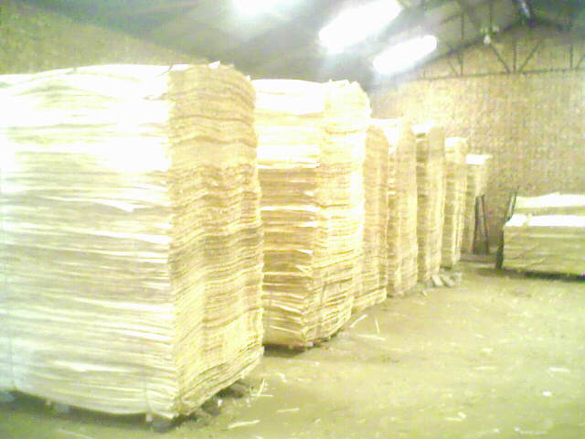 ��ľ���N��(j��)�eƤ��Ԕ��(x��)��B