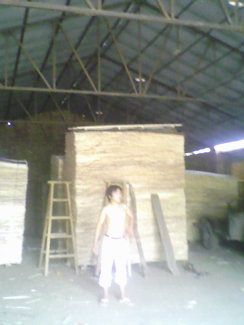 ��ľ���N��(j��)�eƤ��Ԕ��(x��)��B