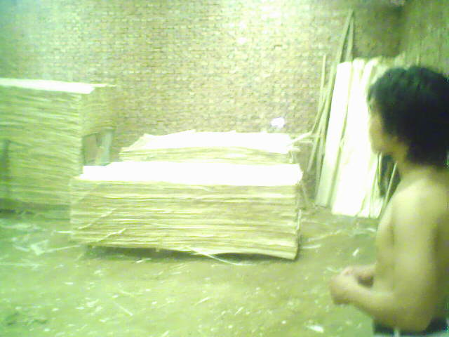 ��ľ���N��(j��)�eƤ��Ԕ��(x��)��B