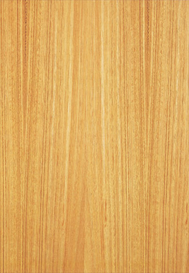 ����(y��ng)-�ȼ����N���