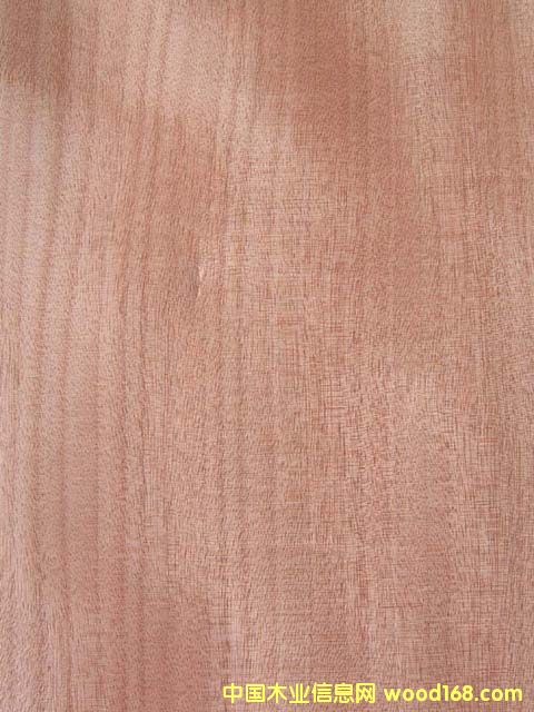 �t����ֱ�y��Ԕ����B