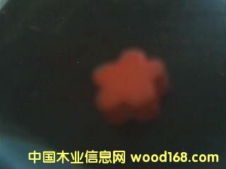 ľ�ǵ�Ԕ��(x��)��B