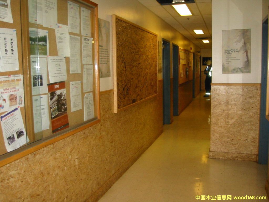 �����ٻ���-���b��ľ���бP��Ԕ��(x��)��B