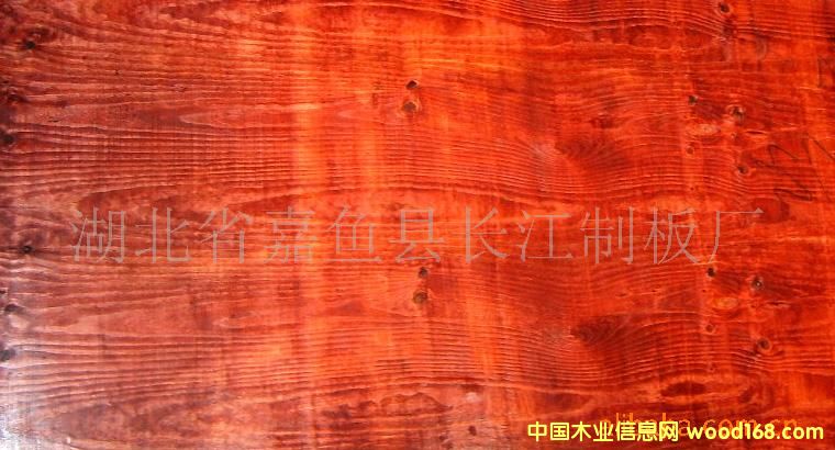 ����ģ���Ԕ��(x��)��B