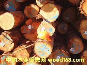 �Fɼ��Ԕ��(x��)��B