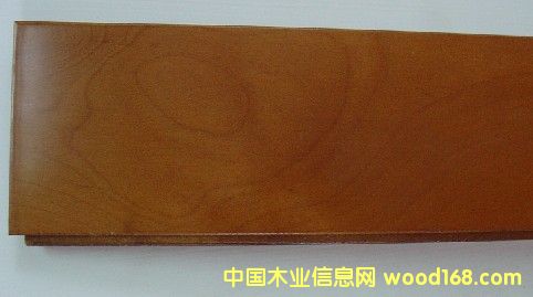 ��ľ�ذ��Ԕ����B