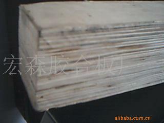 ���ڰ��b�估�ϱP���ö��Ӱ�l�������|��