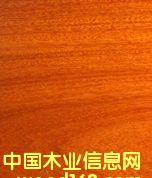 �t̴��(CABREUVA)��Ԕ��(x��)��B