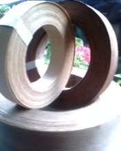 ľƤ��߅�l��Ԕ��(x��)��B