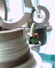 ľƤ��߅�l��Ԕ��(x��)��B