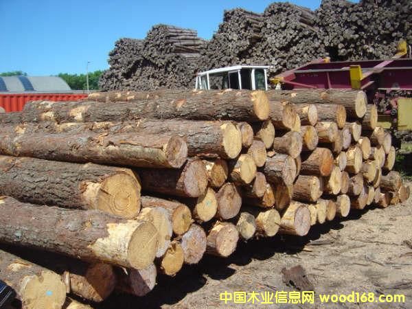 ��ľԭľ��Ԕ��(x��)��B