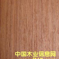 Ƽ�Ō�����Ƭ�~��ͩ��Ԕ��(x��)��B