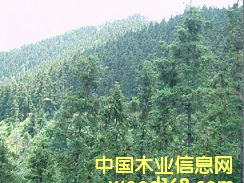 ɼľ����һ�ǵ�Ԕ��(x��)��B