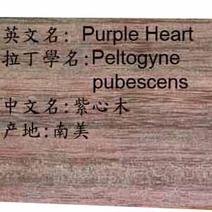 ����ľ��Ԕ��(x��)��B