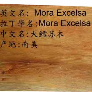 ������Ԕ��(x��)��B