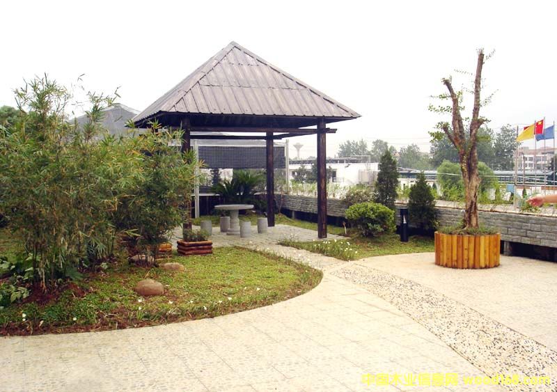 ̿��ľ��Ԕ��(x��)��B