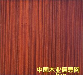 ɳؐ����Ԕ��(x��)��B