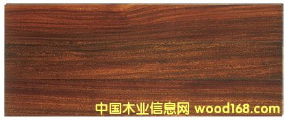 �A�P(p��n)����Ԕ��(x��)��B