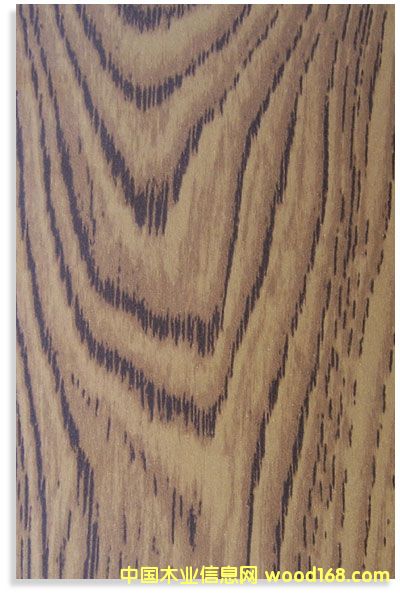 ��ľ��Ԕ��(x��)��B