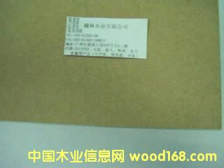 ���w���Ԕ��(x��)��B