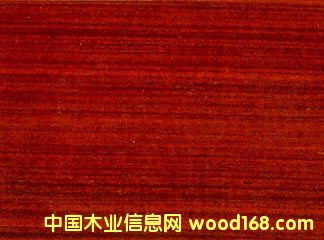 �t̴�㌍ľ�ذ��Ԕ����B