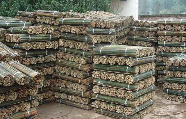 �����Ԕ��(x��)��B