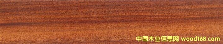 ɳ������(sh��)ľ��(f��)�ϵذ��Ԕ��(x��)��B