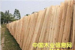 ��ľ�ΰ��Ԕ��(x��)��B