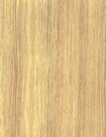 ��ľ��Ԕ����B