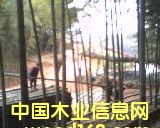 �b�\��Ԕ��(x��)��B