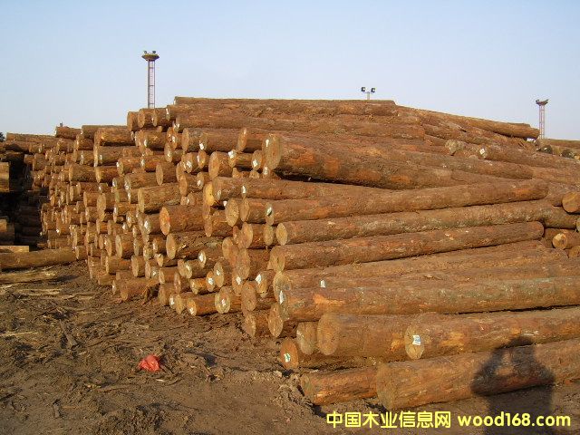 �Ĵ�������ľ��Ԕ��(x��)��B