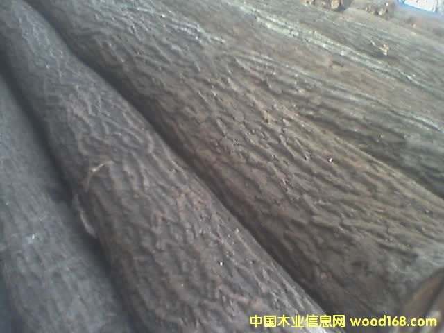 �ľ��Ԕ��(x��)��B