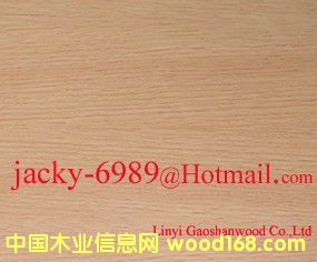 �t���N����Ԕ��(x��)��B