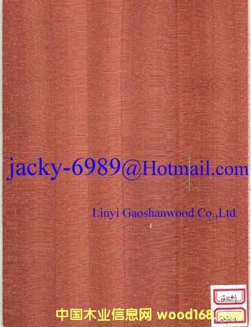 ɳؐ���N����Ԕ��(x��)��B