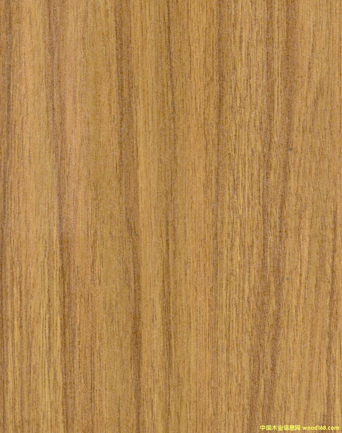 ��(qi��ng)���ذ��Ԕ��(x��)��B