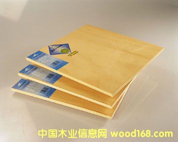 ��(x��)ľ����.ָ��(ji��)��