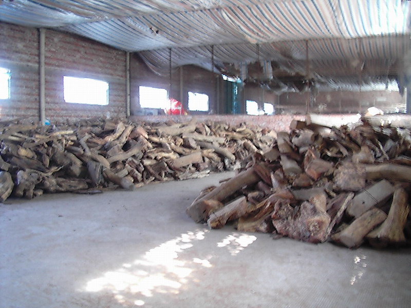 �ϓ��S����ľ��Ԕ����B