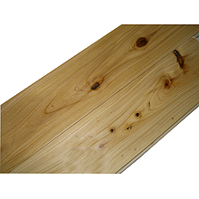 ���ľ�ذ��Ԕ����B