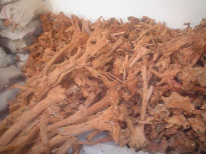 ����̴��