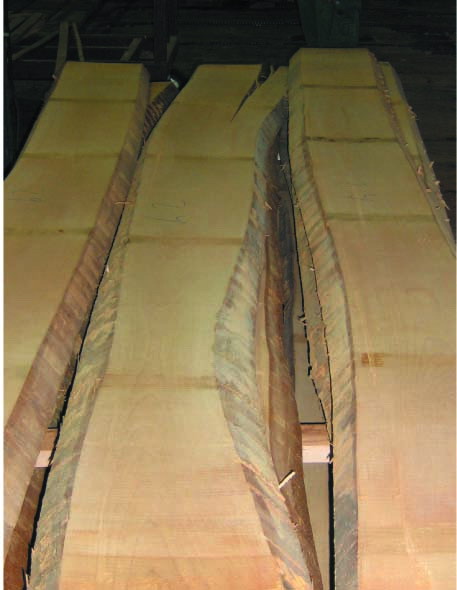 A/B ��(j��)ë߅��ľ��Ԕ��(x��)��B