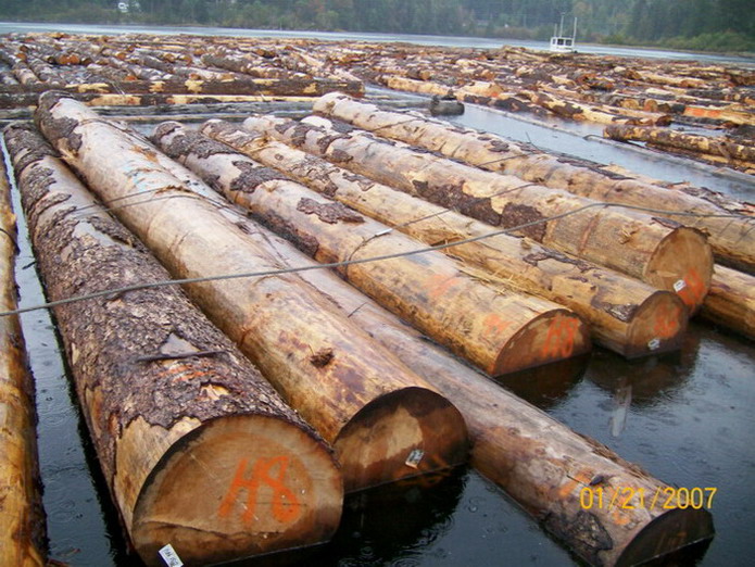 40cm up���ô��Fɼԭľ��Ԕ��(x��)��B