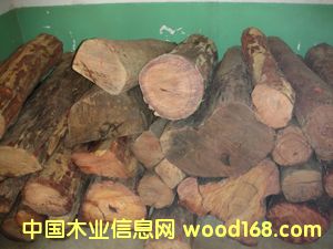 �S�����Ԕ��(x��)��B