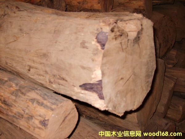 ����֦��Ԕ��(x��)��B