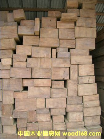 柚木的詳細(xì)介紹