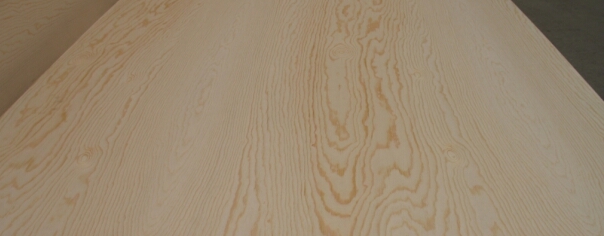 ������ľ�z�ϰ�