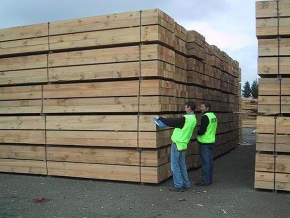 �����mݗ���ɰ��