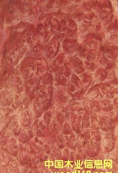 ����(d��ng)�Ș�(sh��)��